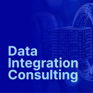 Data integration consulting agency